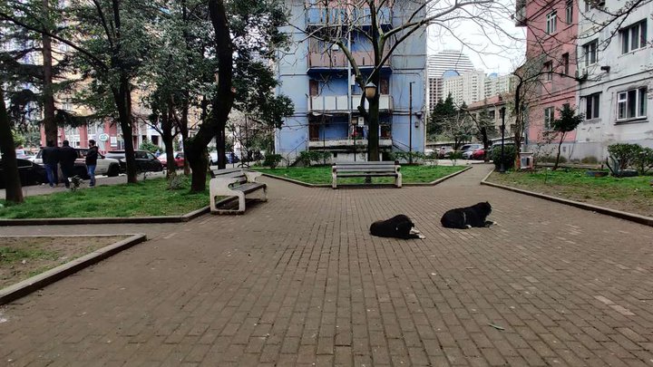 Nuzgar Japaridze Square
