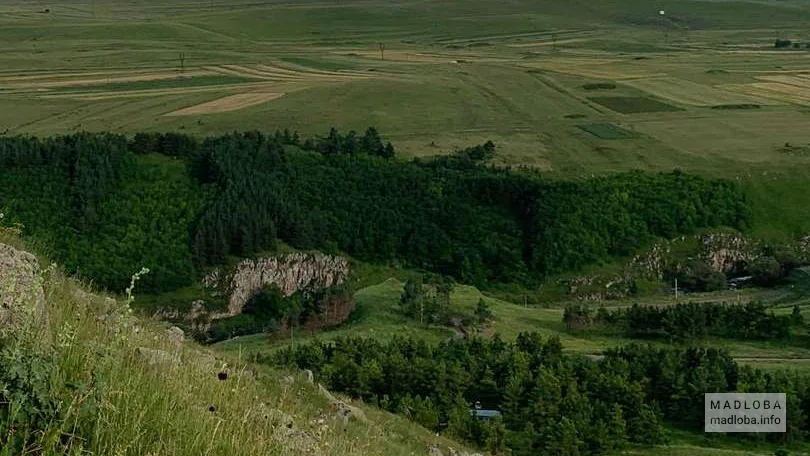 ამირან გორაზე