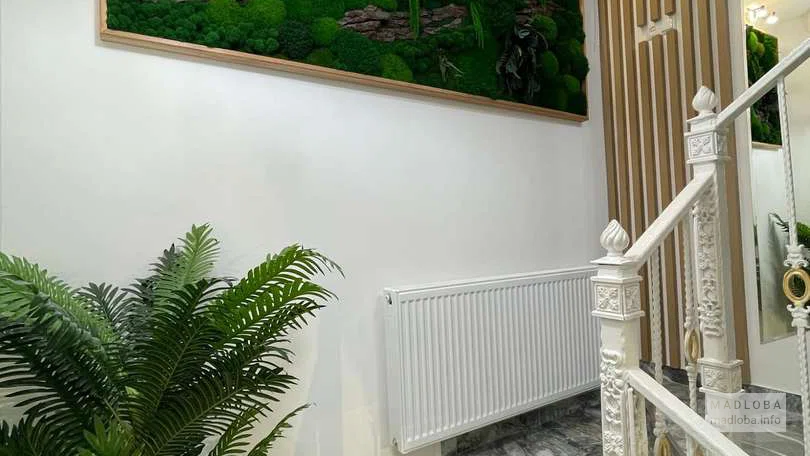 Интерьер в стоматологии Spart Dental