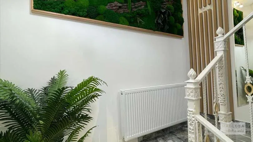 😁 SpartDental is the best dentistry in Kutaisi for a healthy and beautiful smile
