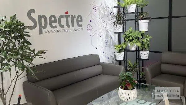 Spectre — IT-компания и технологический партнёр в Грузии 💻🌐