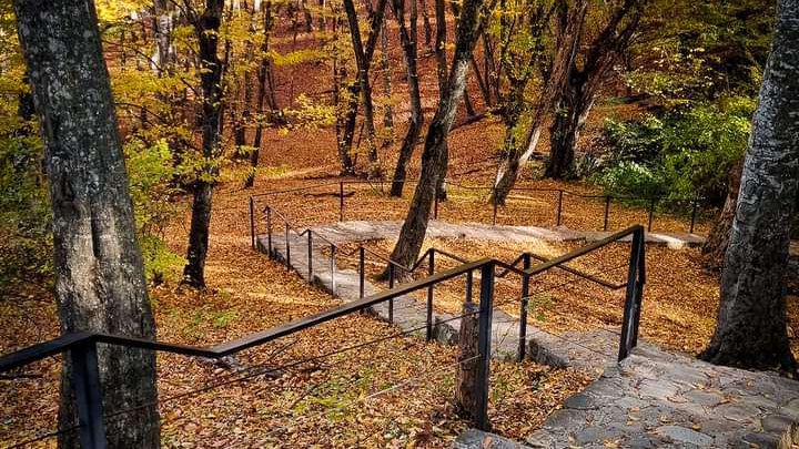 Old (Dzveli) Shuamta