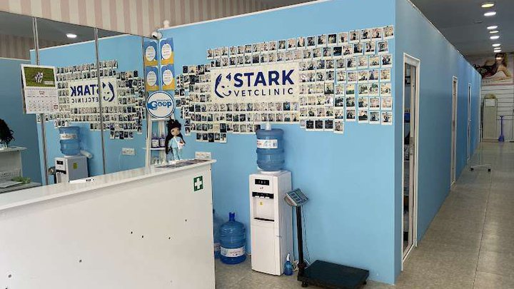 Stark