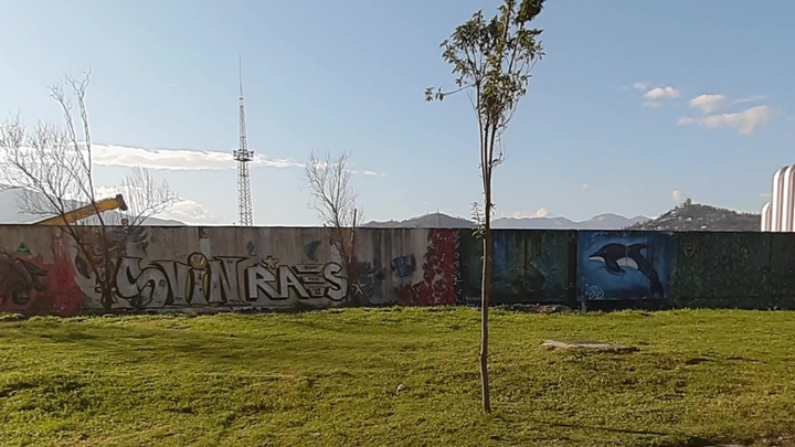 Graffiti wall in front of the fish market