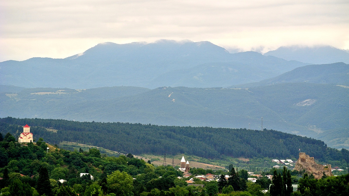 Вид на Сурами