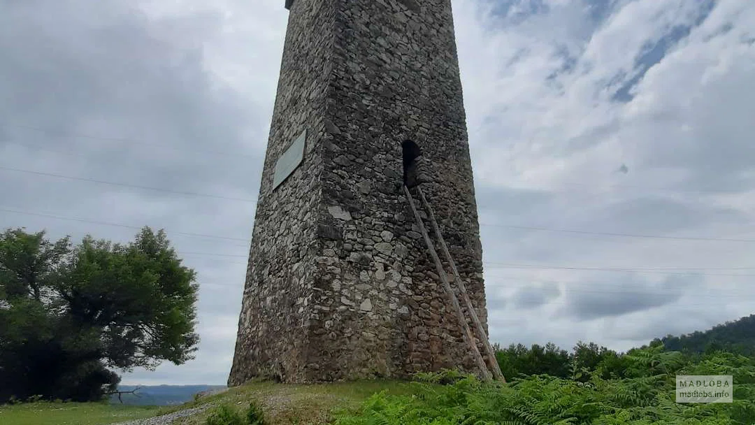 Kolkheti Tower