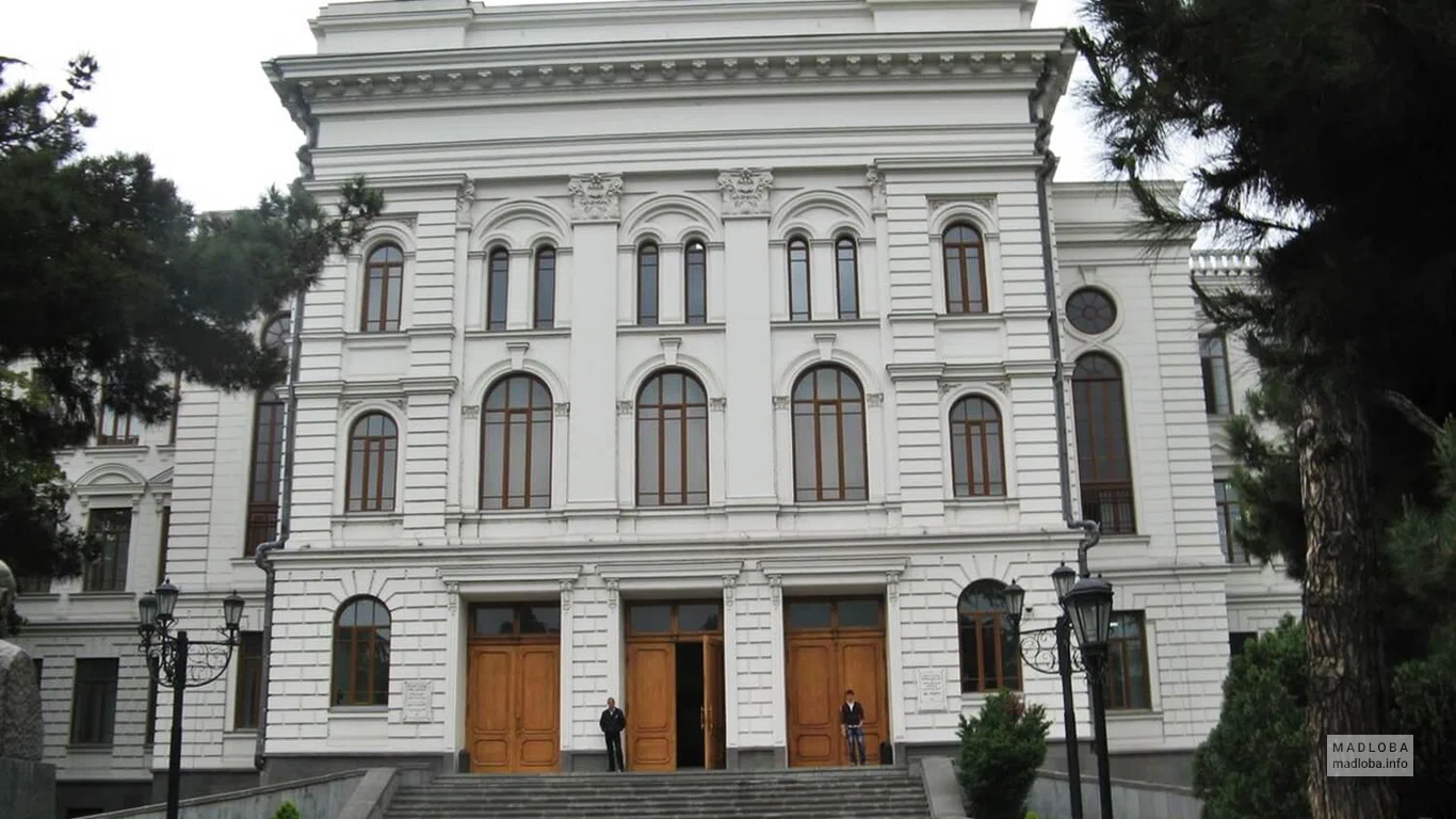 თბილისის სახელმწიფო უნივერსიტეტი