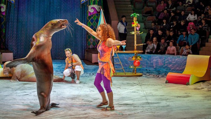Tbilisi Circus