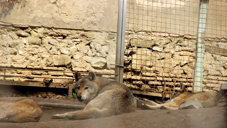 Tbilisi State Zoo