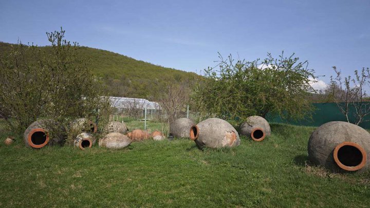 Temi Community