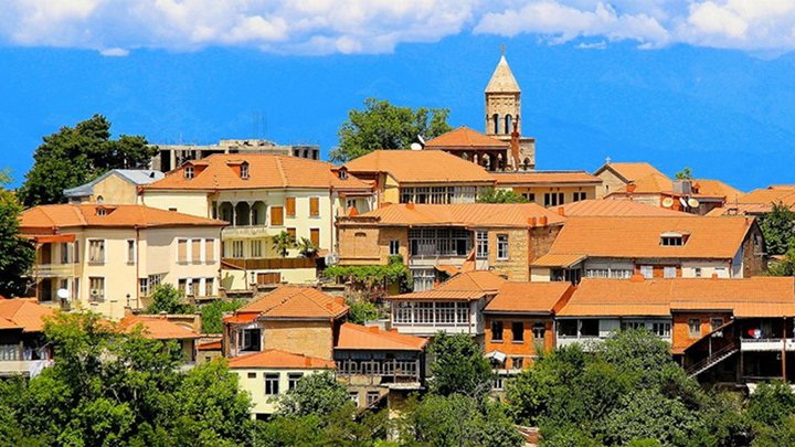 ტყემალის ტური