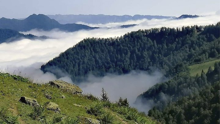 იმოგზაურეთ საქართველოში