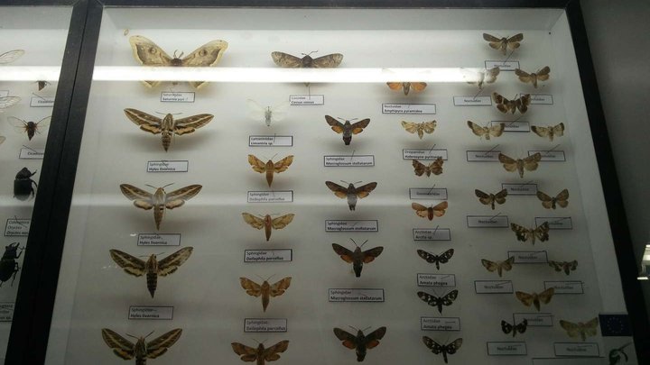 Vashlovani National Park Visitor Center