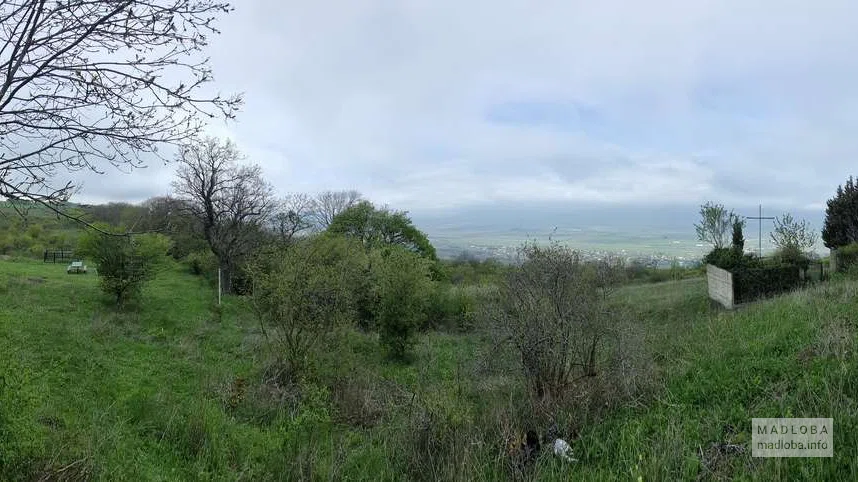 Церковь Квирацховели в Схалтба