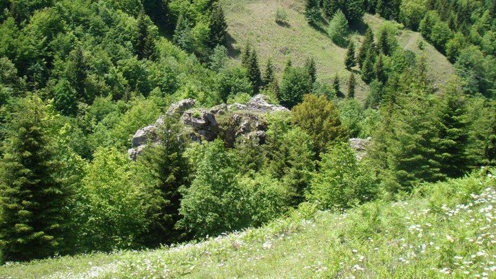 Tsikhiskeli Fortress