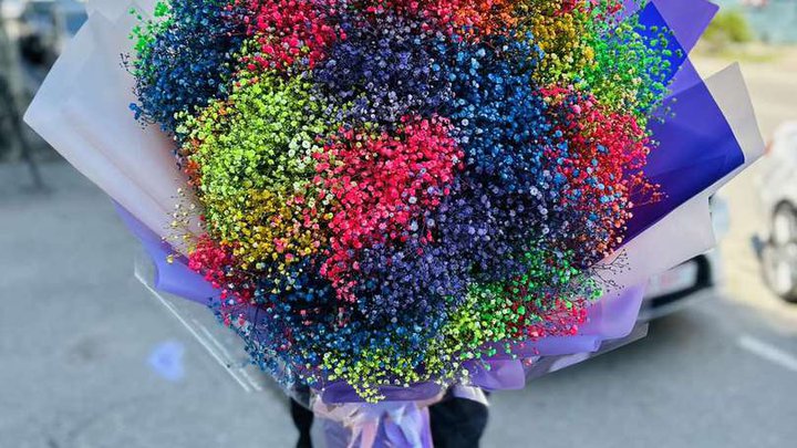Flower's Kesan