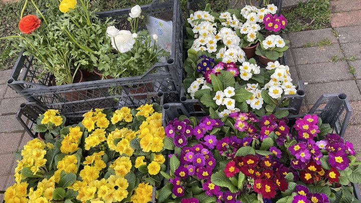 Цветочный магазин Flowers shop (eva)