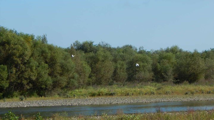 Delta Chorokhi River