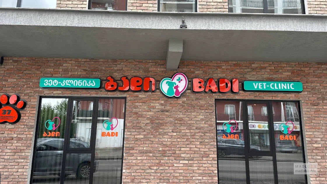 Badi