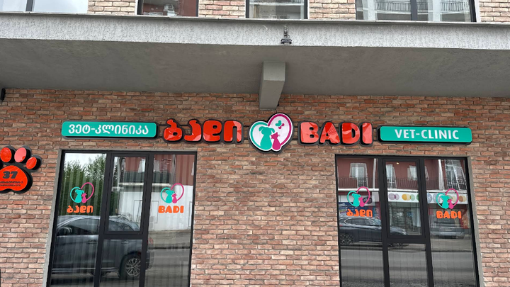Badi