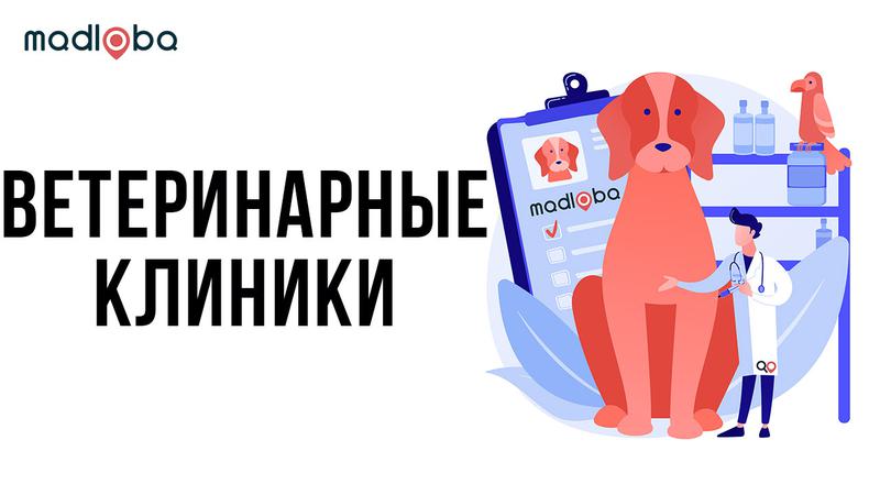 Ветеринары и ветеринарные клиники Грузии
