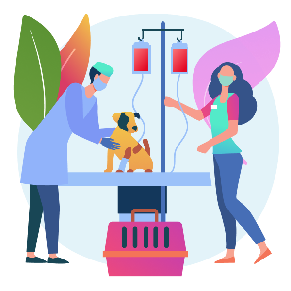 Veterinary clinics