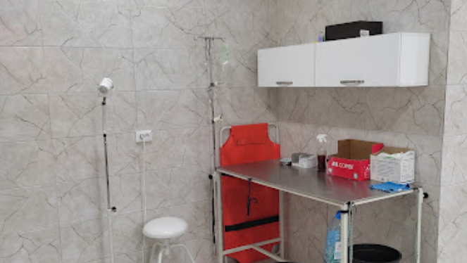 Veterinary clinic (Avtomshenebeli st., 41)