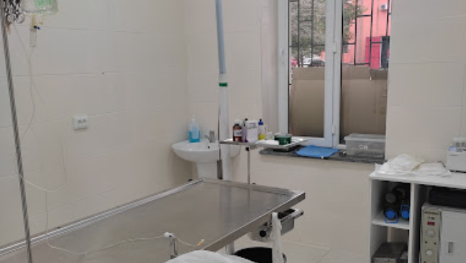 Veterinary clinic (Avtomshenebeli st., 41)