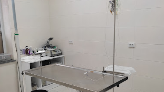 Veterinary clinic (Avtomshenebeli st., 41)