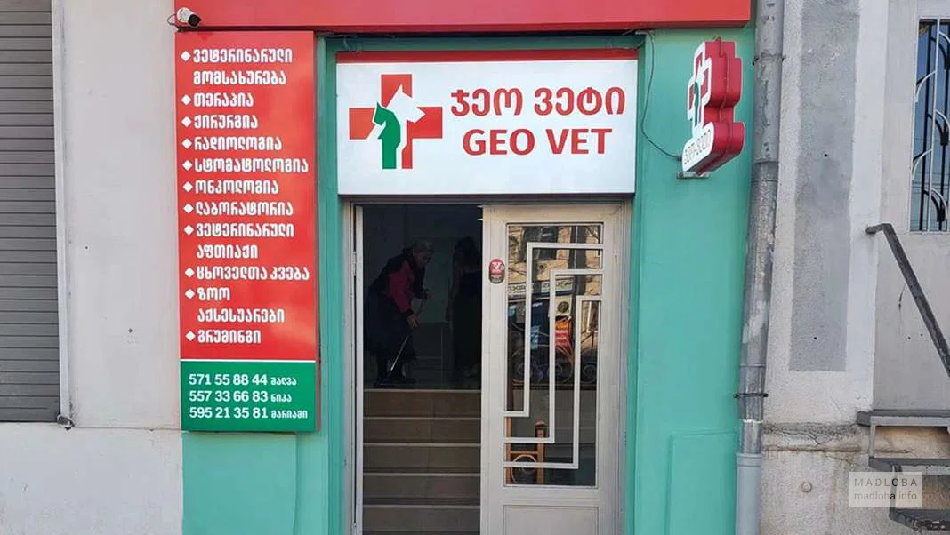 ჯეო ვეტი