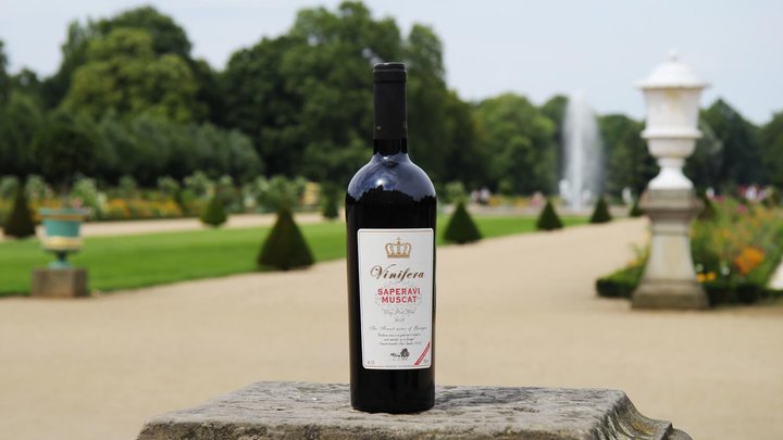 Company Vinifera