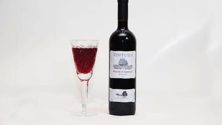 Company Vinifera