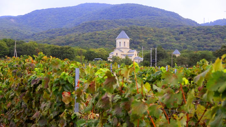 Wine Shop KTW
