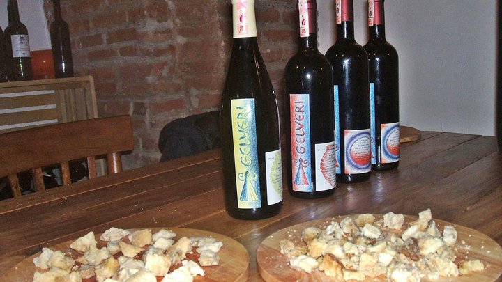 Vine Underground