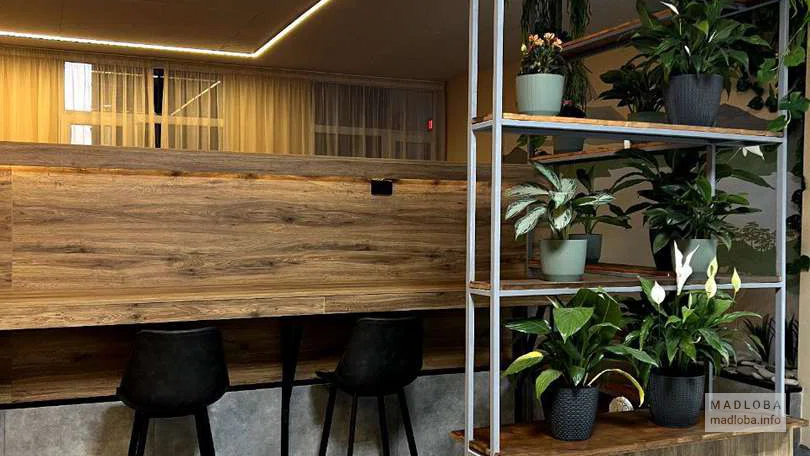Интерьер в кафе Wasabi.Batumi