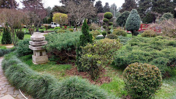 Japanese Garden