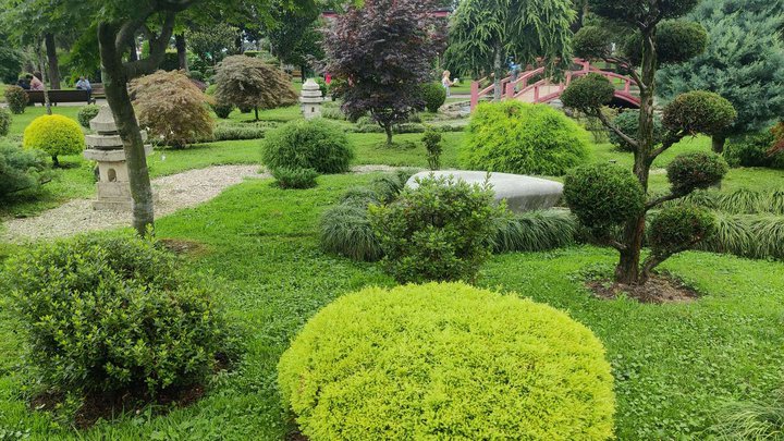 Japanese Garden