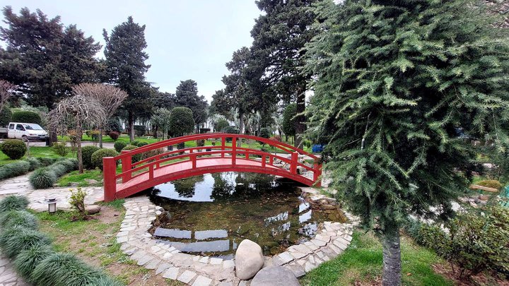 Japanese Garden