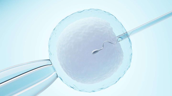 Popular destinations for IVF: why Georgia attracts patients for fertility treatment