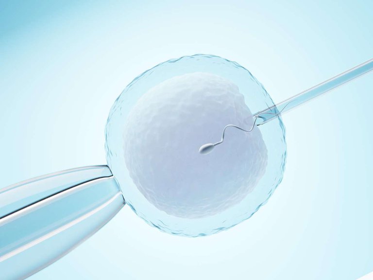 Popular destinations for IVF: why Georgia attracts patients for fertility treatment