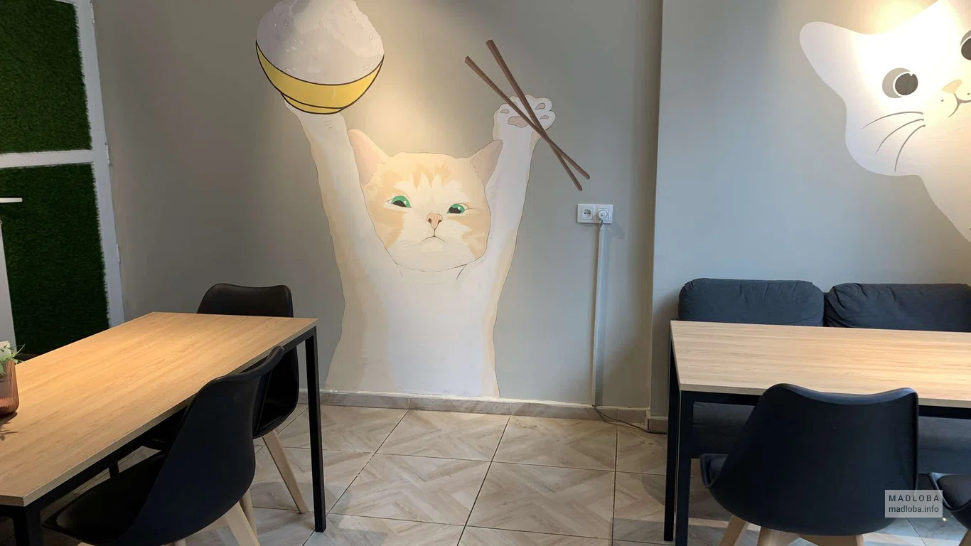 Рисунки котов на стенах в кафе Yummy Meow