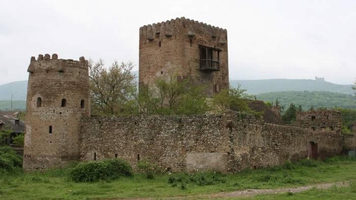 Skhvilo Castle