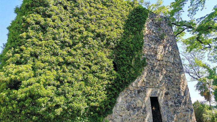 The castle-tower of Greenwood