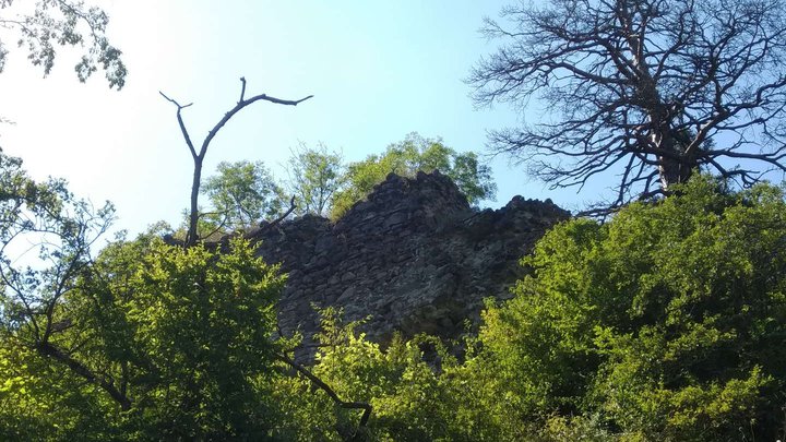 Замок Соловей (Бюльбюль)
