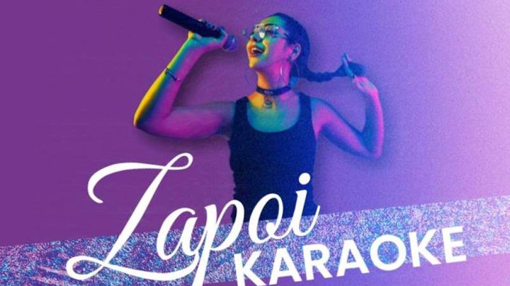 Zapoi Karaoke Rooms