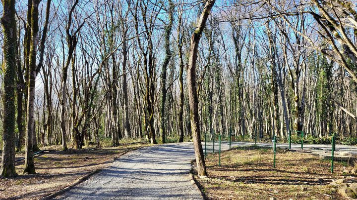 Sataplia Nature Reserve