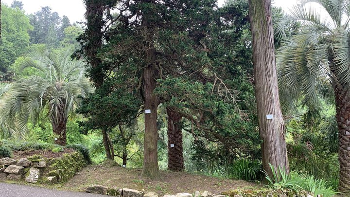 Zipline (botanical garden)