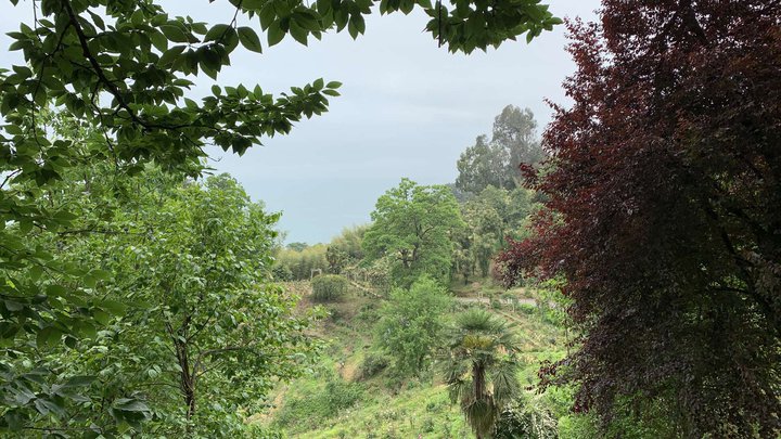 Zipline (botanical garden)