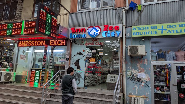 Zoo city