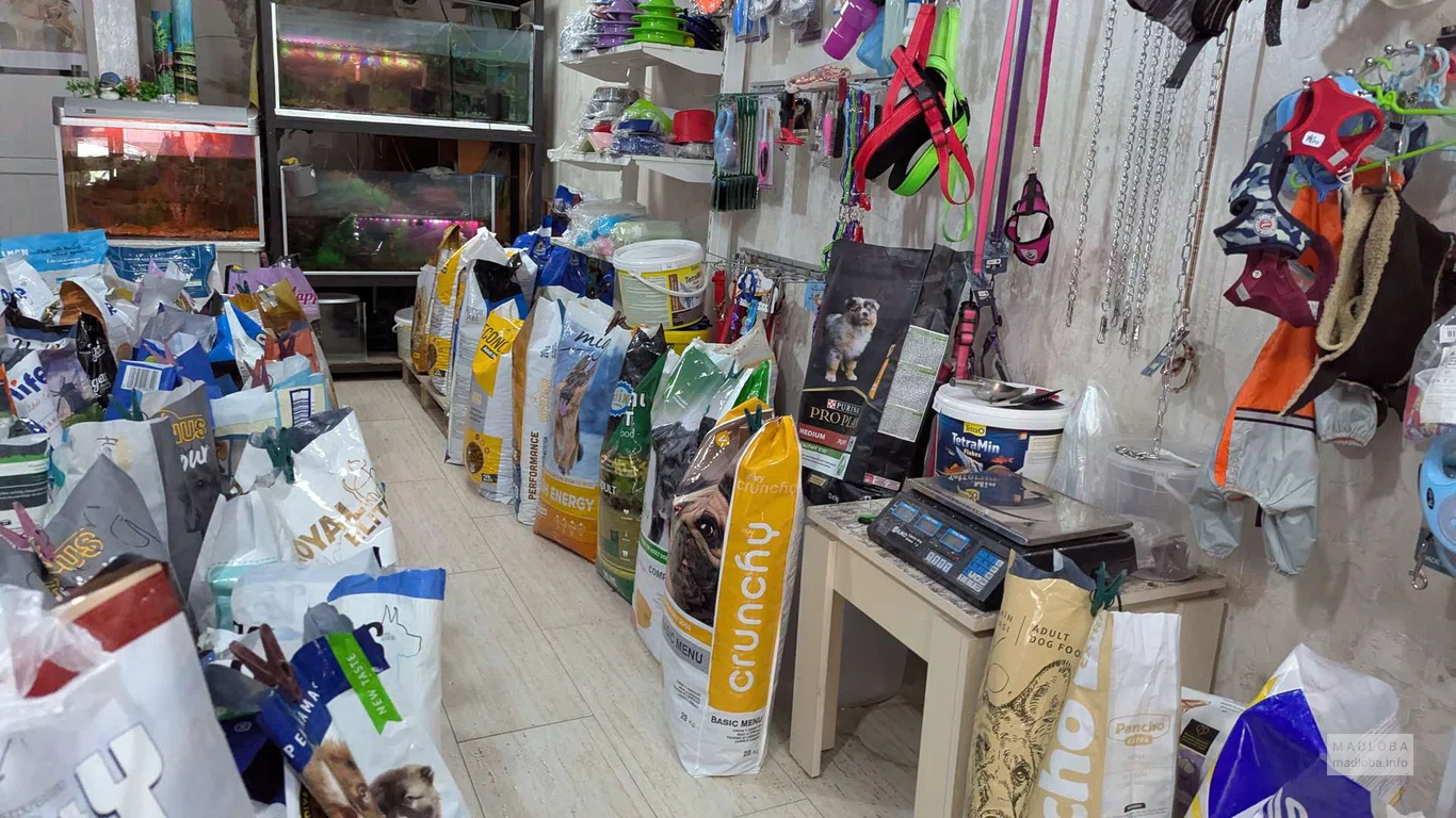 Товары в зоомагазине Zoo Mani в Батуми